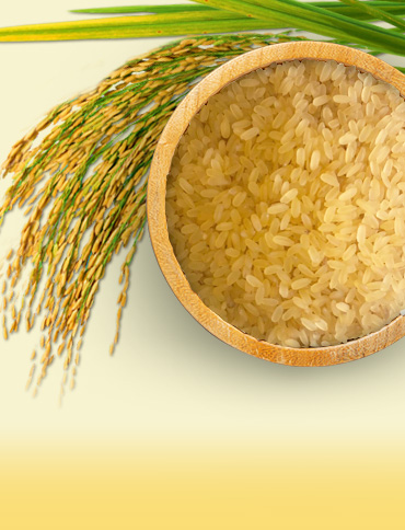 Jaya Paraboiled Rice
