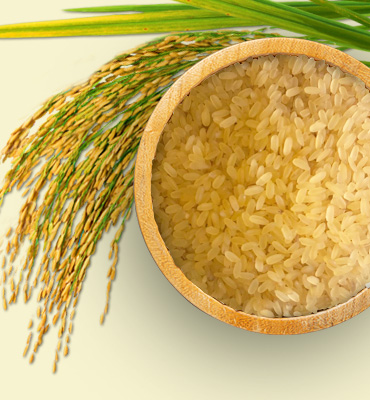 Jaya Paraboiled Rice Product